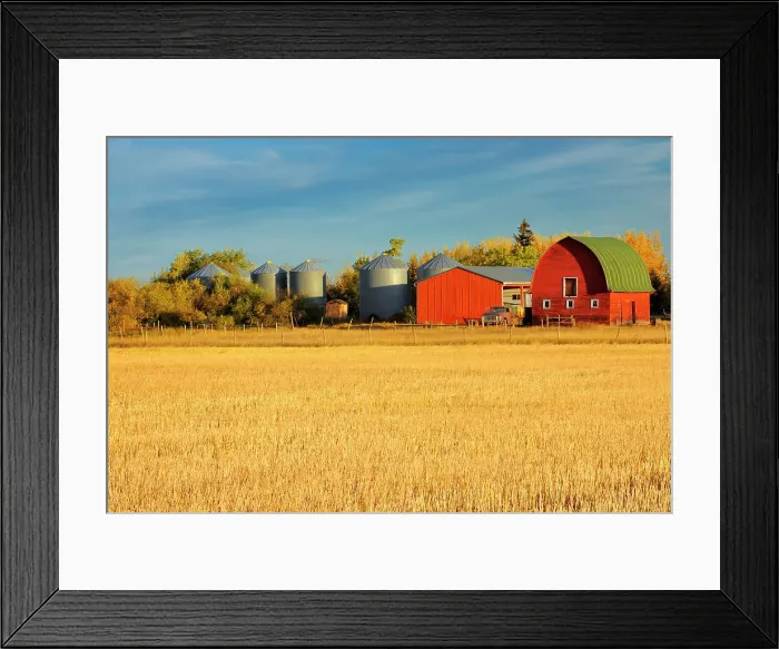 Framed Print : Red barn at sunrise Rycroft, Alberta, Canada Framed Print : Red barn at sunrise Rycroft, Alberta, Canada