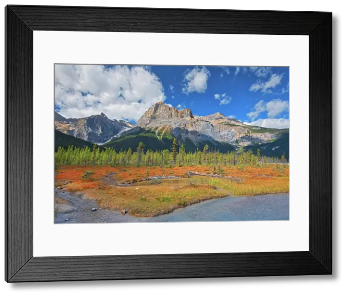 Framed Print : The President Range at Emerald Lake. Canadian Rocky Mountains Yoho National Park, Alberta, Canada Yoho National Park, Alberta, Canada