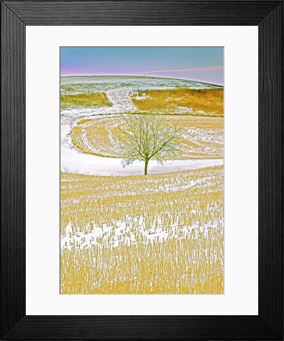 Framed Print : Stubble field at dusk Spruce Grove, Alberta, Canada Framed Print : Stubble field at dusk Spruce Grove, Alberta, Canada