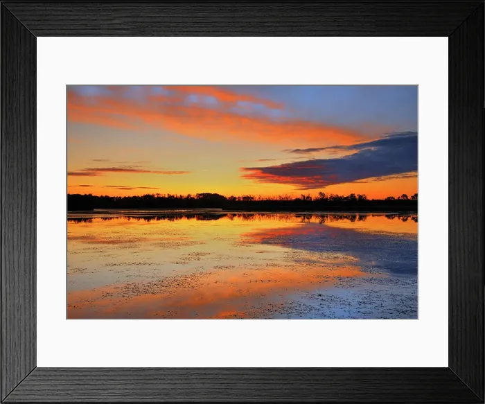 Framed Print : SUnrise over wetland Grande Prairie, Alberta, Canada Framed Print : SUnrise over wetland Grande Prairie, Alberta, Canada