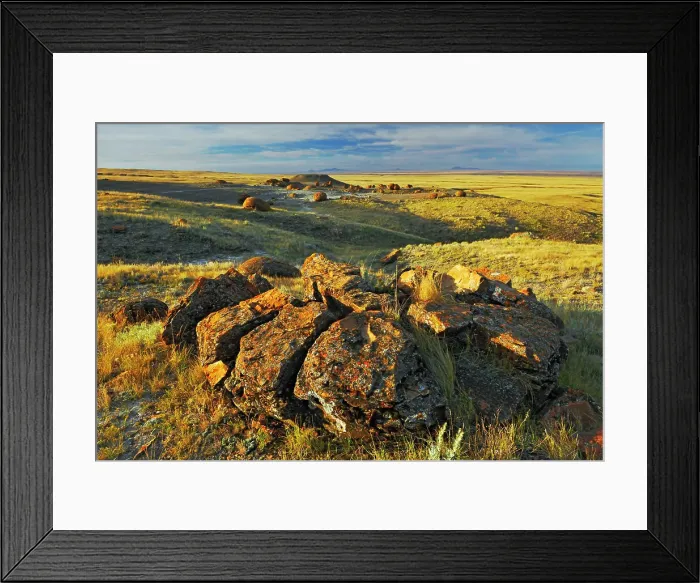 Framed Print : Sandstone concretions on the Canadian prairie, Alberta, Canada Framed Print : Sandstone concretions on the Canadian prairie, Alberta, Canada