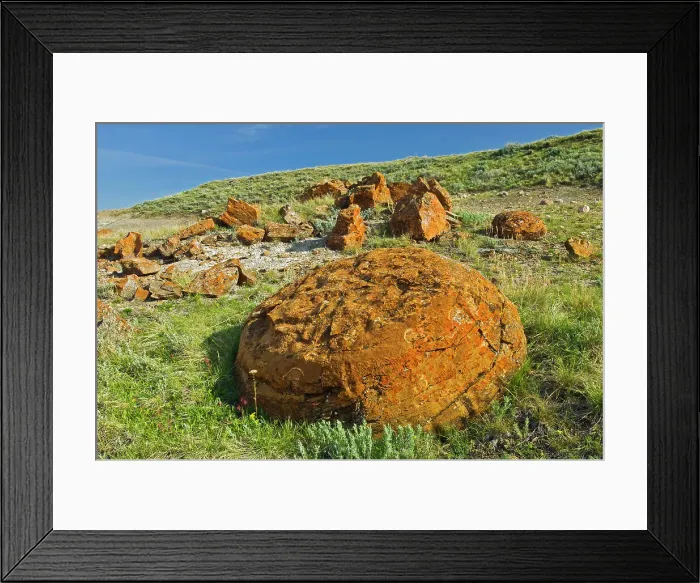 Framed Print : Sandstone concretions on the Canadian prairie Framed Print : Sandstone concretions on the Canadian prairie