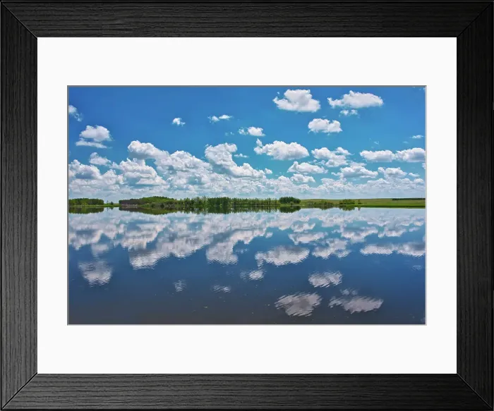 Framed Print : Clouds reflected in prairie slough, Alberta, Canada Framed Print : Clouds reflected in prairie slough, Alberta, Canada
