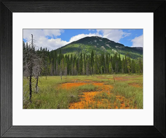 Framed Print : Paint Pots. Iron-rich cold mineral springs. The Canadian Rocky Mountains, Kootenay National Park, British Columbia, Canada Framed Print : Paint Pots. Iron-rich cold mineral springs. The Canadian Rocky Mountains, Kootenay National Park, British Columbia, Canada