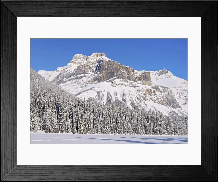 Framed Print : Emerald Lake. The Canadian Rocky Mountains, Yoho National Park, British Columbia, Canada Framed Print : Emerald Lake. The Canadian Rocky Mountains, Yoho National Park, British Columbia, Canada