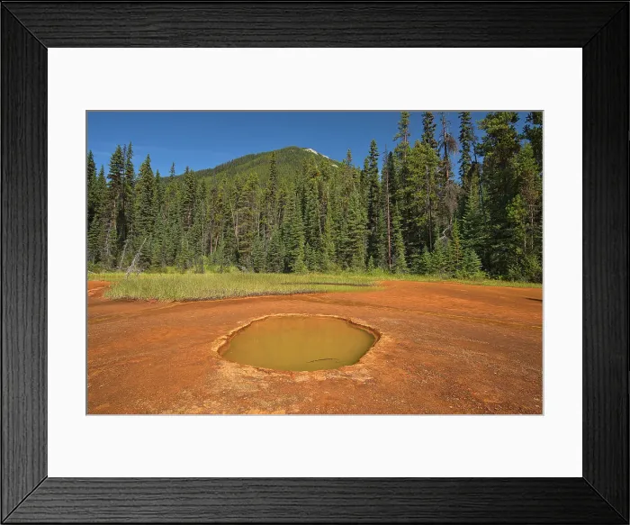 Framed Print : The Paint Pots where iron-rich mineral springs stain the surrounding earth a vibrant ochre colour. Canadian Rocky Mountains, Kootenay National Park, British Columbia, Canada Framed Print : The Paint Pots where iron-rich mineral springs stain the surrounding earth a vibrant ochre colour. Canadian Rocky Mountains, Kootenay National Park, British Columbia, Canada