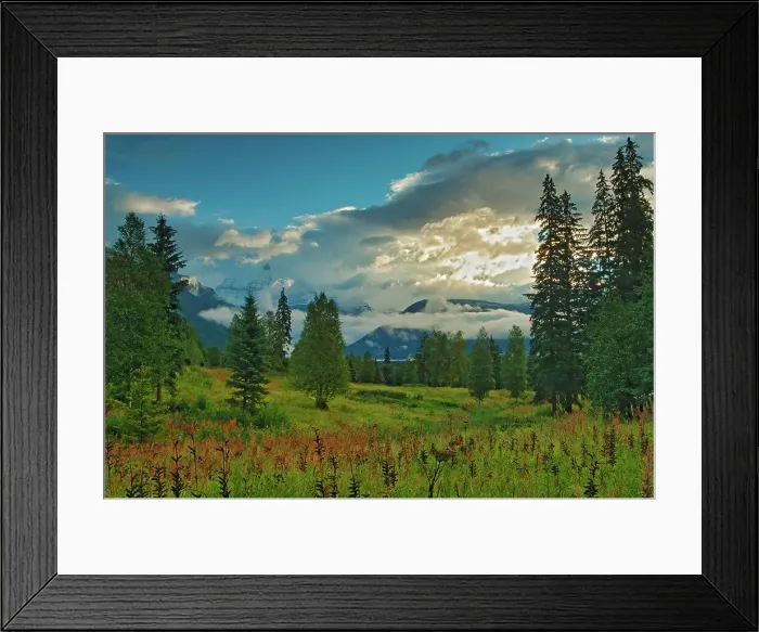 Framed Print : Morning fog over the Canadian Rocky Mountains and meadow Framed Print : Morning fog over the Canadian Rocky Mountains and meadow