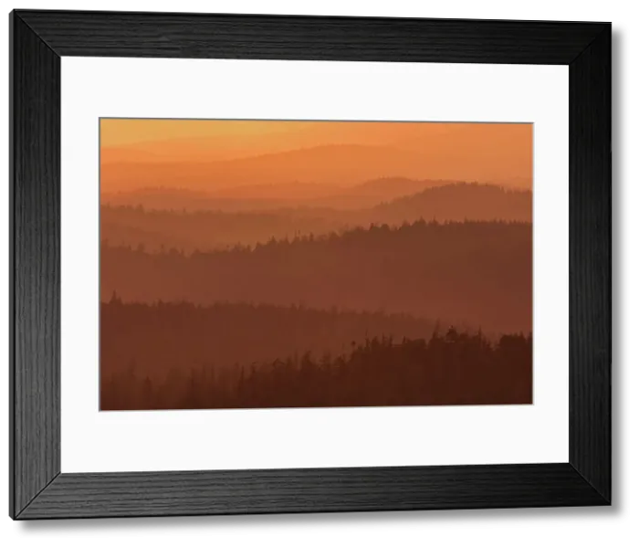Framed Print : Coast Mountains of old growth temperate rain forest at sunset Carmanah-Walbran Provincial Park, British Columbia, Canada Framed Print : Coast Mountains of old growth temperate rain forest at sunset Carmanah-Walbran Provincial Park, British Columbia, Canada