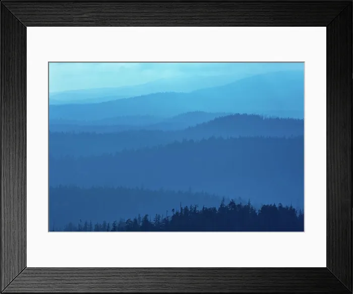 Framed Print : Coast Mountains of old growth temperate rain forest Carmanah-Walbran Provincial Park, British Columbia, Canada Framed Print : Coast Mountains of old growth temperate rain forest Carmanah-Walbran Provincial Park, British Columbia, Canada