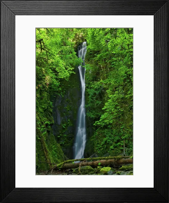 Framed Print : Niagara Creek (River) cascades over Niagara Falls. Goldstream Provincial Park, British Columbia, Canada Framed Print : Niagara Creek (River) cascades over Niagara Falls. Goldstream Provincial Park, British Columbia, Canada