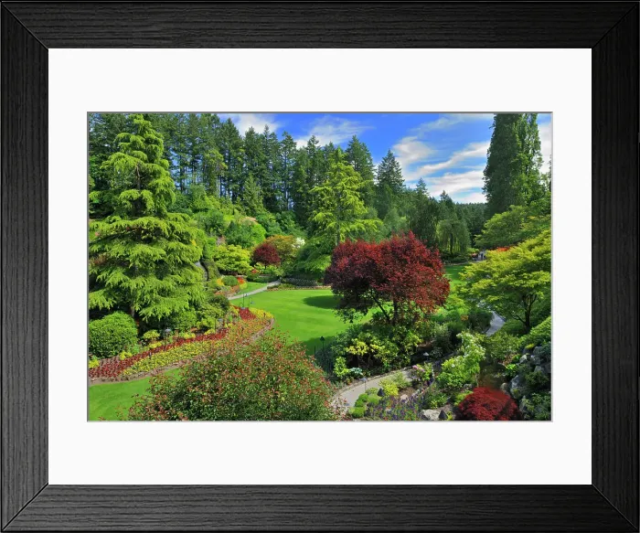Framed Print : The Butchart Gardens. Brentwood Bay near Victoria, British Columbia, Canada