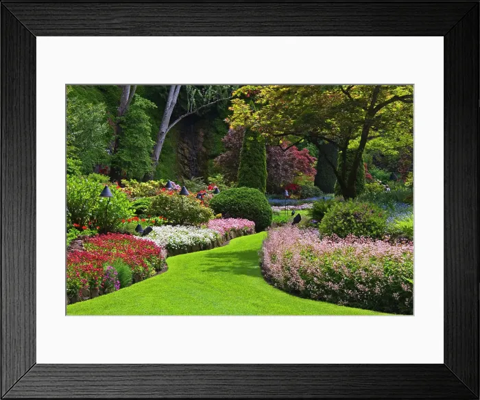 Framed Print : The Butchart Gardens. Brentwood Bay near Victoria, British Columbia, Canada Framed Print : The Butchart Gardens. Brentwood Bay near Victoria, British Columbia, Canada
