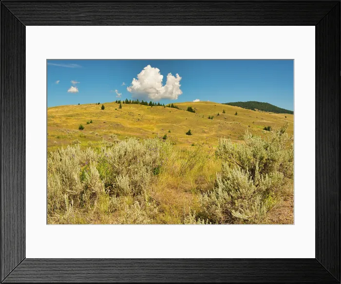 Framed Print : Grasslands. Thompson Valley, Kamloops, British Columbia, Canada Framed Print : Grasslands. Thompson Valley, Kamloops, British Columbia, Canada