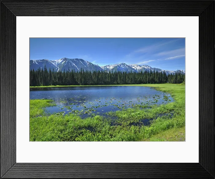 Framed Print : Coast Mountains on the Stewart-Cassiar Highway Stewart-Cassiar Highway, British Columbia, Canada Framed Print : Coast Mountains on the Stewart-Cassiar Highway Stewart-Cassiar Highway, British Columbia, Canada