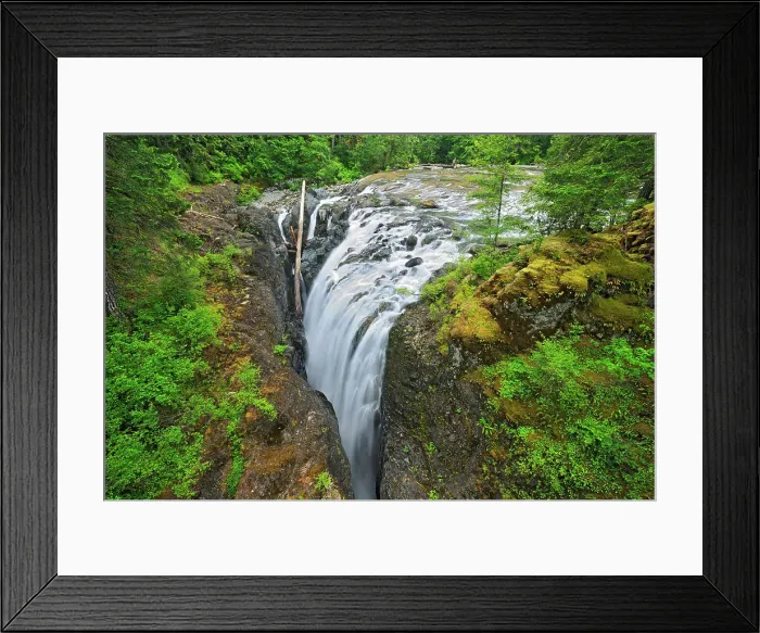 Framed Print : Englishman River Falls Englishman River Falls Provincial Park, British Columbia, Canada Framed Print : Englishman River Falls Englishman River Falls Provincial Park, British Columbia, Canada