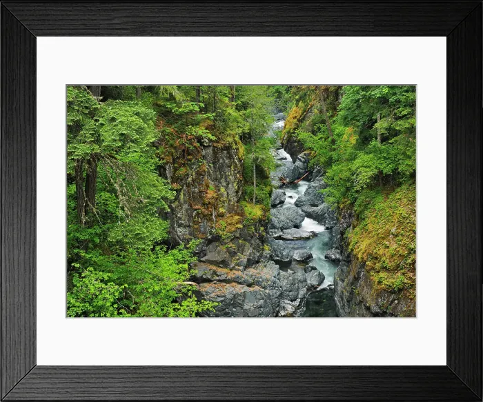 Framed Print : Englishman River Falls Englishman River Falls Provincial Park, British Columbia, Canada Framed Print : Englishman River Falls Englishman River Falls Provincial Park, British Columbia, Canada