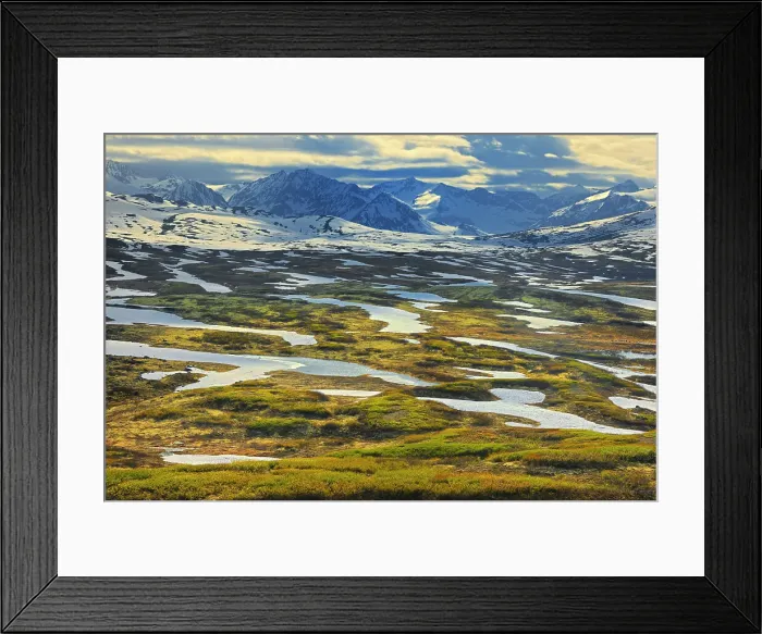 Framed Print : late spring snow Haines Road in Extreme NW British Columbia, British Columbia, Canada Framed Print : late spring snow Haines Road in Extreme NW British Columbia, British Columbia, Canada