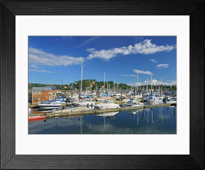 Framed Print : Sailboats in marina Gibsons, British Columbia, Canada Framed Print : Sailboats in marina Gibsons, British Columbia, Canada