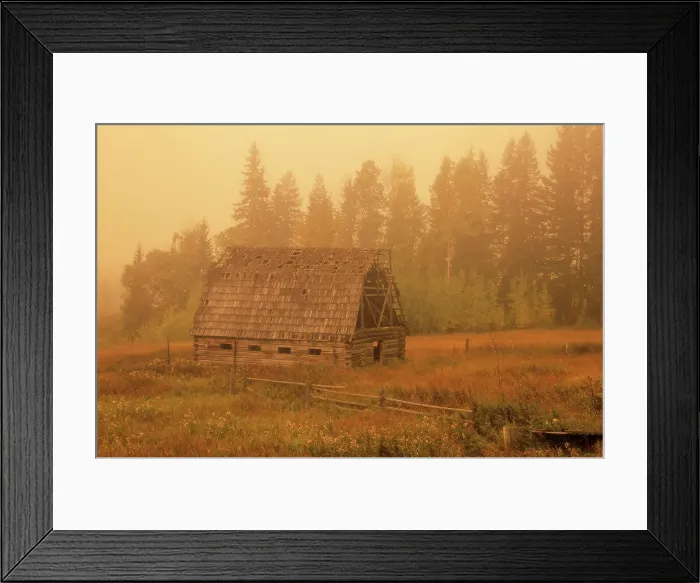 Framed Print : old barn in morning fog near Golden, British Columbia, Canada