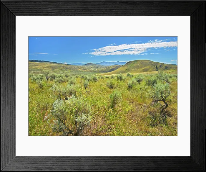 Framed Print : Sagebrush and Grasslands. Thompson Valley, Kamloops, British Columbia, Canada
