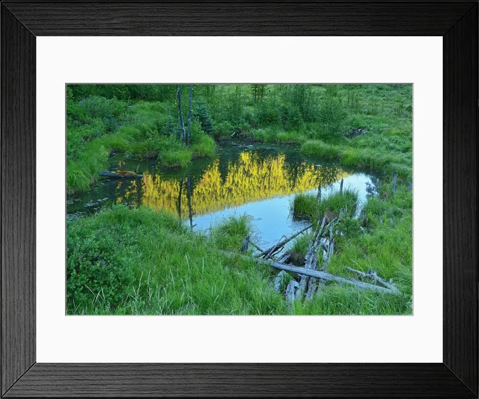 Framed Print : Pool reflection mountainside at sunrise, E. C. Manning Provincial Park, British Columbia, Canada Framed Print : Pool reflection mountainside at sunrise, E. C. Manning Provincial Park, British Columbia, Canada