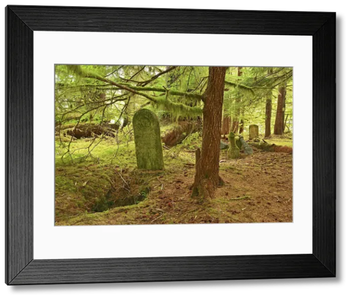 Framed Print : Pre 1900 burials at Mathers Creek on Louise Island, Haida Gwaii. thought to be of persons who had lived in the village of Clue. After this era the Clue inhabitants relocated to Skidegate, British Columbia Framed Print : Pre 1900 burials at Mathers Creek on Louise Island, Haida Gwaii. thought to be of persons who had lived in the village of Clue. After this era the Clue inhabitants relocated to Skidegate, British Columbia