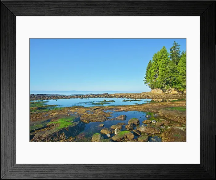 Framed Print : Botanical Beach at low tide (Formerly Botanical Beach Provincial Park), Juan de Fuca Provincial Park, British Columbia, Canada Framed Print : Botanical Beach at low tide (Formerly Botanical Beach Provincial Park), Juan de Fuca Provincial Park, British Columbia, Canada