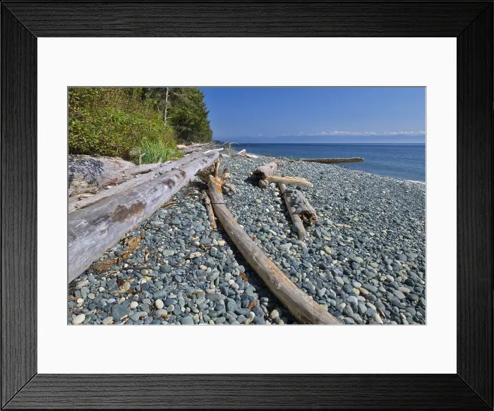 Framed Print : Driftwood on Sandcut Beach. Jordan River Regional Park, British Columbia, Canada Framed Print : Driftwood on Sandcut Beach. Jordan River Regional Park, British Columbia, Canada