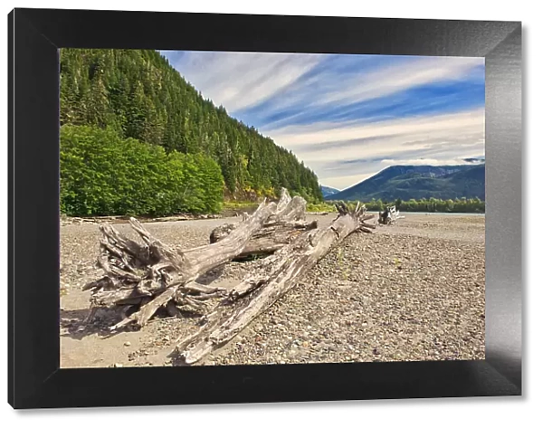 Driftwood amd mountaine along the shoreline of the Skeena River East of Prince Rupert, British Columbia, Canada