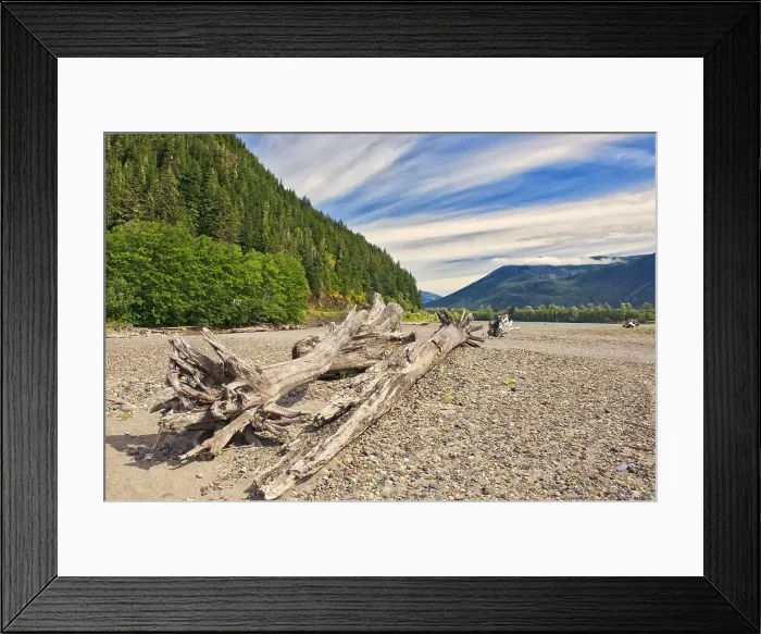 Framed Print : Driftwood amd mountaine along the shoreline of the Skeena River East of Prince Rupert, British Columbia, Canada Framed Print : Driftwood amd mountaine along the shoreline of the Skeena River East of Prince Rupert, British Columbia, Canada