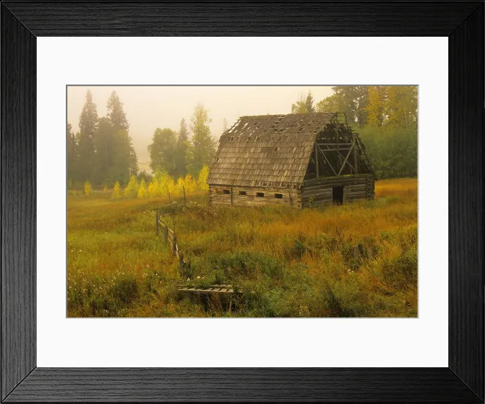 Framed Print : Old barn and fog at sunrise Near Golden, British Columbia, Canada Framed Print : Old barn and fog at sunrise Near Golden, British Columbia, Canada
