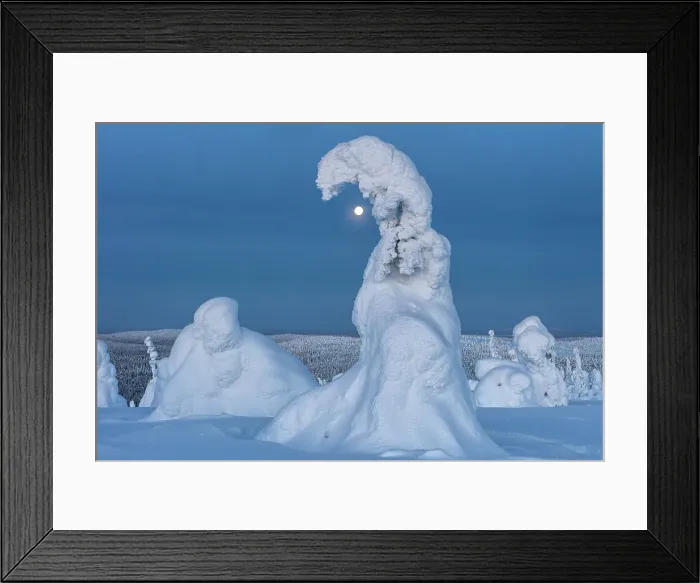 Framed Print : Finland, Lapland, Riisitunturi National Park Framed Print : Finland, Lapland, Riisitunturi National Park