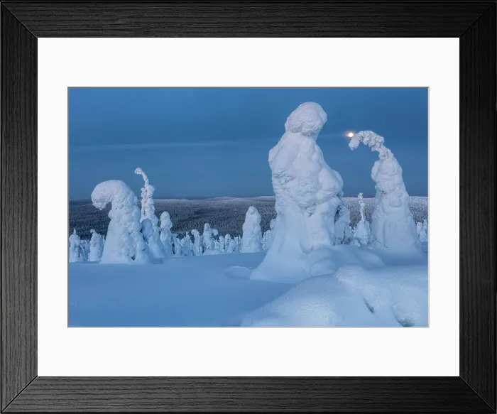Framed Print : Finland, Lapland, Riisitunturi National Park Framed Print : Finland, Lapland, Riisitunturi National Park