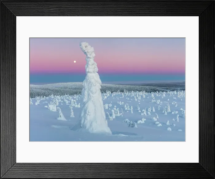 Framed Print : Finland, Lapland, Riisitunturi National Park Framed Print : Finland, Lapland, Riisitunturi National Park
