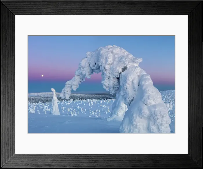 Framed Print : Finland, Lapland, Riisitunturi National Park Framed Print : Finland, Lapland, Riisitunturi National Park