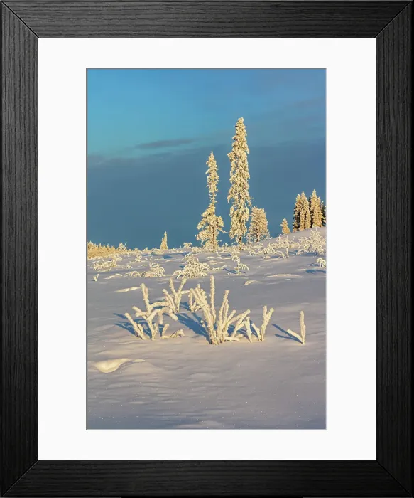 Framed Print : Finland, Lapland, Akaslompolo
