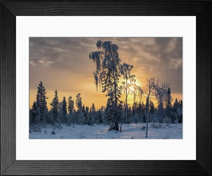 Framed Print : Finland, Lapland, Akaslompolo Framed Print : Finland, Lapland, Akaslompolo