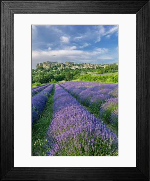 Framed Print : France, Provence-Alpes-Cote d'Azur, Saignon, Lavender fields in front of the village of Saignon Framed Print : France, Provence-Alpes-Cote d'Azur, Saignon, Lavender fields in front of the village of Saignon