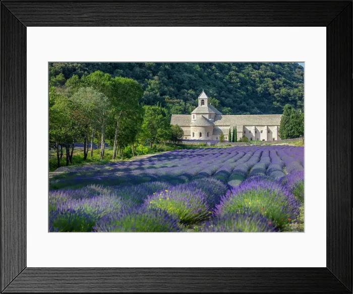 Framed Print : France, Provence-Alpes-Cote d'Azur, Gordes, Senanque abbey (abbaie de Senanque) & field of lavender Framed Print : France, Provence-Alpes-Cote d'Azur, Gordes, Senanque abbey (abbaie de Senanque) & field of lavender