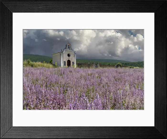 Framed Print : France, Provence-Alpes-Cote d'Azur, Banon, a small chapel surrounded by pink sage (sauge sclaree) in Provence Framed Print : France, Provence-Alpes-Cote d'Azur, Banon, a small chapel surrounded by pink sage (sauge sclaree) in Provence