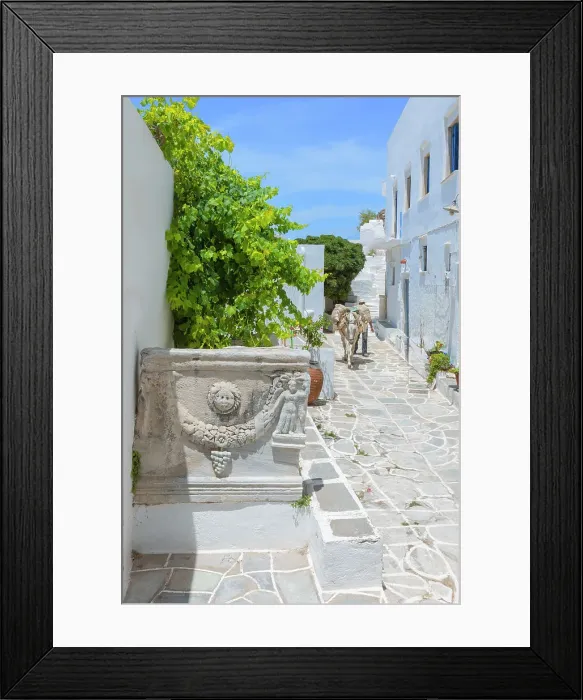Framed Print : Mule walking through Kastro village street, Kastro, Sifnos Island, Cyclades Islands, Greece Framed Print : Mule walking through Kastro village street, Kastro, Sifnos Island, Cyclades Islands, Greece