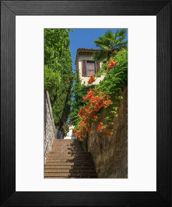 Framed Print : Italy, Umbria. A little stairway in the town centre of Bevagna with beautiful flowers and plants Framed Print : Italy, Umbria. A little stairway in the town centre of Bevagna with beautiful flowers and plants