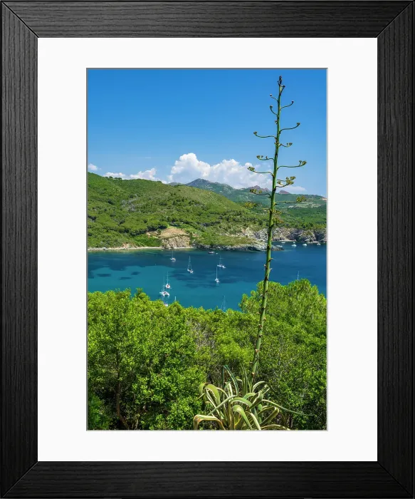 Framed Print : Italy, Tuscany, Elba. The view of the bay of Margidore near to Lacona seen from the footpath that leads to Capo Stella Framed Print : Italy, Tuscany, Elba. The view of the bay of Margidore near to Lacona seen from the footpath that leads to Capo Stella
