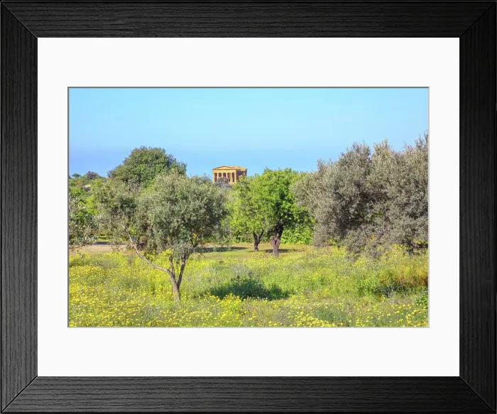 Framed Print : Temple of Concordia, Valley of Temples, Agrigento, Sicily, Italy Framed Print : Temple of Concordia, Valley of Temples, Agrigento, Sicily, Italy