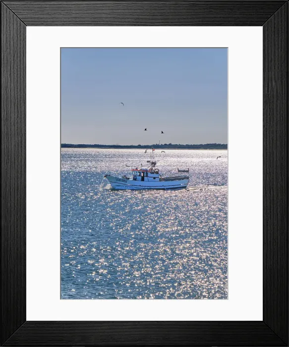 Framed Print : Fishing boat with seagulls, near the Arrabida Nature Park. Setubal, Portugal