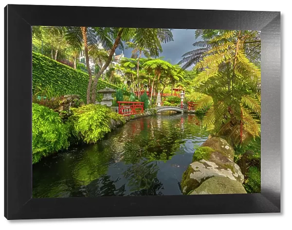 Pond amidst plants in Oriental Gardens, Monte Palace Tropical Garden, Funchal, Madeira, Portugal