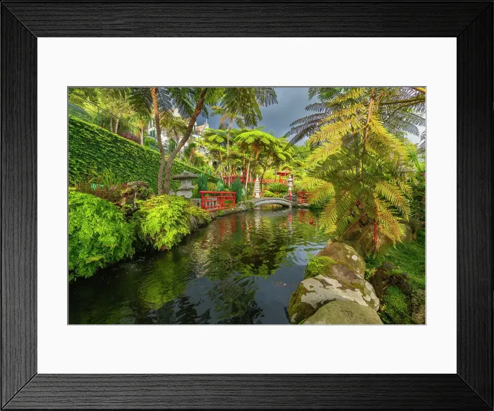 Framed Print : Pond amidst plants in Oriental Gardens, Monte Palace Tropical Garden, Funchal, Madeira, Portugal Framed Print : Pond amidst plants in Oriental Gardens, Monte Palace Tropical Garden, Funchal, Madeira, Portugal