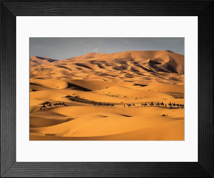 Framed Print : Camel trains on the Erg Chebbi dunes in the Sahara Desert, Merzouga, Morocco Framed Print : Camel trains on the Erg Chebbi dunes in the Sahara Desert, Merzouga, Morocco
