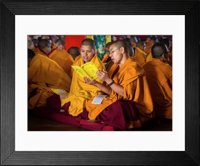 Framed Print : Nuns at puja (prayers) at Kopan Monastery, Kathmandu, Nepal Framed Print : Nuns at puja (prayers) at Kopan Monastery, Kathmandu, Nepal