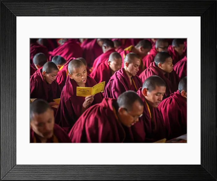 Framed Print : Monks at puja (prayers) at Kopan Monastery, Kathmandu, Nepal Framed Print : Monks at puja (prayers) at Kopan Monastery, Kathmandu, Nepal